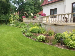 Rośliny  Projektowanie i zakładanie ogrodów - Toruń, Bydgoszcz - roślinność